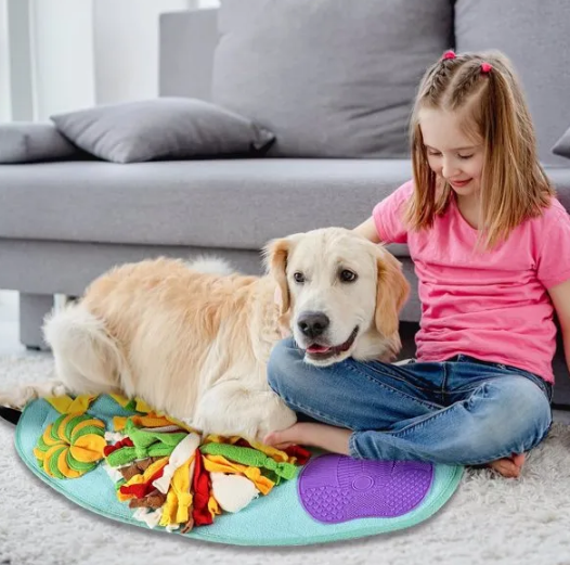 Snuffle Mat for Dogs